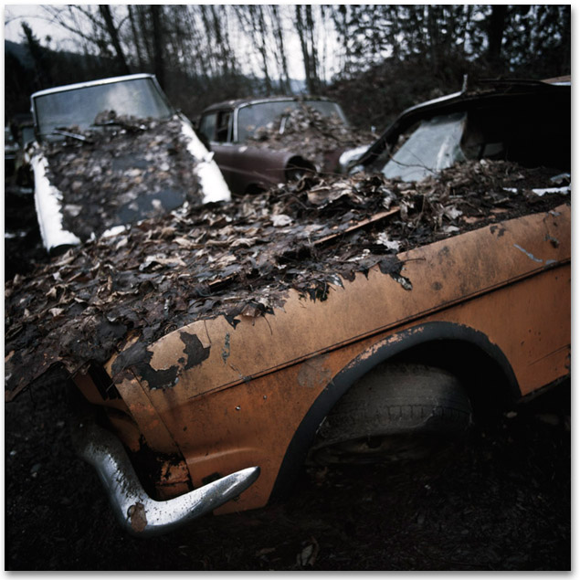 http://www.tochtermann.fr/files/gimgs/30_2010012003b.jpg